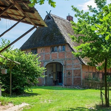 Reetscheune Kruezen Kruzen Kültér fotó